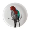 Marini Ferlazzo Birds Plate 20cm Australian King Parrot