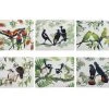 Birdsong Placemat Set Of 6 34x26.5cm Assorted