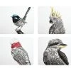 Marini Ferlazzo Birds Of Australia Cork Back Placemat 34x26.5cm Set Of 4 Gift Boxed