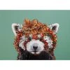 Marini Ferlazzo Wild Planet Placemat 43.5x28.5cm Red Panda