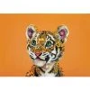 Marini Ferlazzo Wild Planet Placemat 43.5x28.5cm Tiger