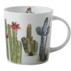 Royal Botanic Garden Arid Garden Mug 300ML Saguaro Gift Boxed