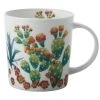 Royal Botanic Garden Arid Garden Mug 300ML Prickly Pear Gift Boxed