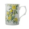 Royal Botanic Gardens Victoria Garden Friends Mug 300ML Robin Gift Boxed